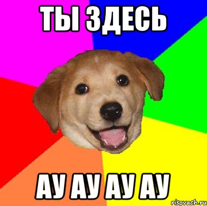 ты здесь ау ау ау ау, Мем Advice Dog