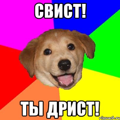 СВИСТ! ТЫ ДРИСТ!, Мем Advice Dog