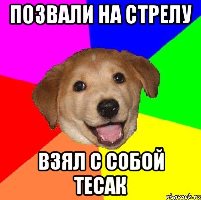 Позвали на стрелу взял с собой тесак, Мем Advice Dog