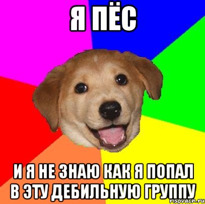 я пёс и я не знаю как я попал в эту дебильную группу, Мем Advice Dog