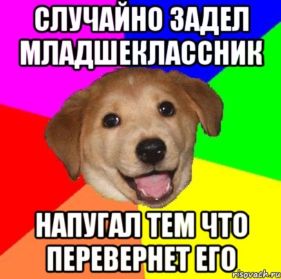 Случайно задел младшеклассник Напугал тем что перевернет его, Мем Advice Dog