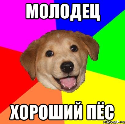 МОЛОДЕЦ ХОРОШИЙ ПЁС, Мем Advice Dog