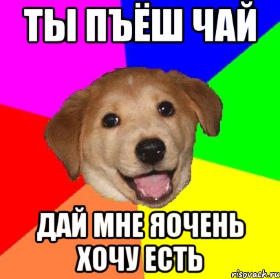 ты пъёш чай дай мне яочень хочу есть, Мем Advice Dog