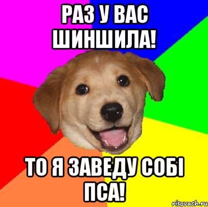 Раз у вас шиншила! То я заведу собі пса!, Мем Advice Dog