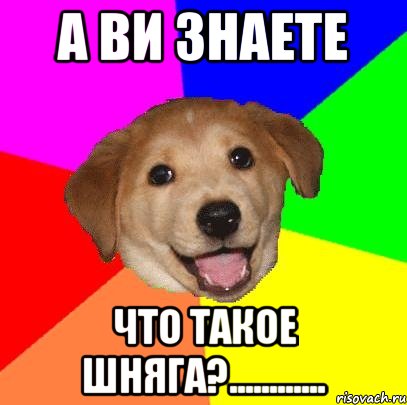 А ви знаете что такое ШНЯГА?............, Мем Advice Dog