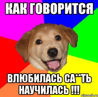 Как говорится Влюбилась са**ть научилась !!!, Мем Advice Dog