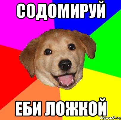 Содомируй Еби ложкой, Мем Advice Dog