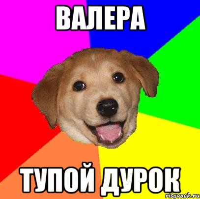Валера Тупой дурок, Мем Advice Dog