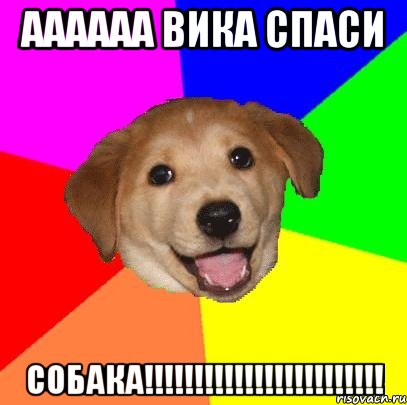 АААААА ВИКА СПАСИ СОБАКА!!!!!!!!!!!!!!!!!!!!!!!!, Мем Advice Dog
