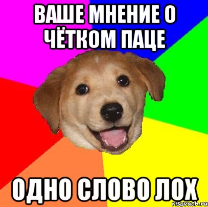 Ваше мнение о чётком паце Одно слово ЛОХ, Мем Advice Dog