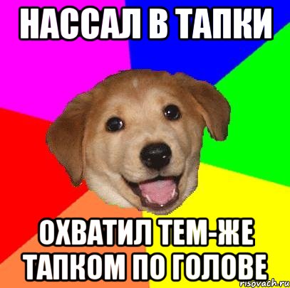 нассал в тапки охватил тем-же тапком по голове, Мем Advice Dog