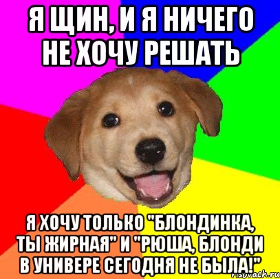 Я Щин, и я ничего не хочу решать Я хочу только "Блондинка, ты жирная" и "Рюша, Блонди в универе сегодня не была!", Мем Advice Dog