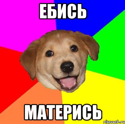 ебись матерись, Мем Advice Dog