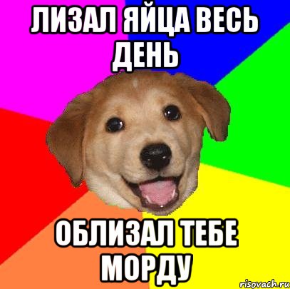 Лизал яйца весь день облизал тебе морду, Мем Advice Dog