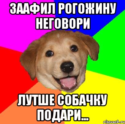 Заафил рогожину неговори лутше собачку подари..., Мем Advice Dog