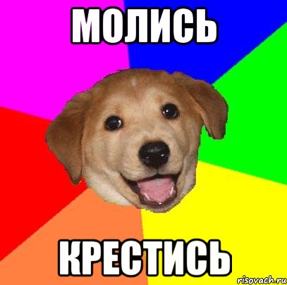 молись крестись, Мем Advice Dog