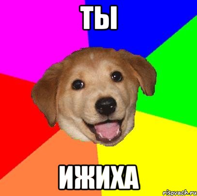 ТЫ ИЖИХА, Мем Advice Dog