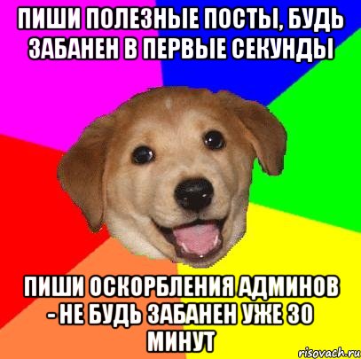 Пиши полезные посты, будь забанен в первые секунды Пиши оскорбления админов - не будь забанен уже 30 минут, Мем Advice Dog