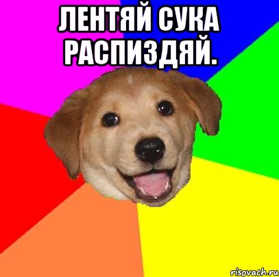 Лентяй сука распиздяй. , Мем Advice Dog