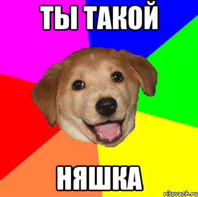 Ты такой Няшка, Мем Advice Dog