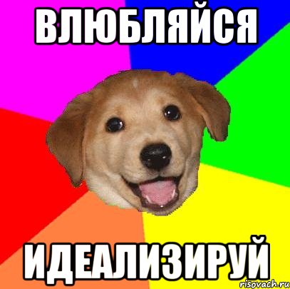 влюбляйся идеализируй, Мем Advice Dog