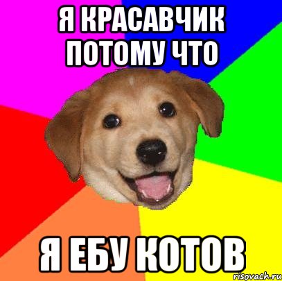 я красавчик потому что я ебу котов, Мем Advice Dog