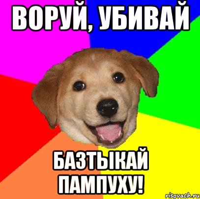 ВОРУЙ, УБИВАЙ БАЗТЫКАЙ ПАМПУХУ!, Мем Advice Dog