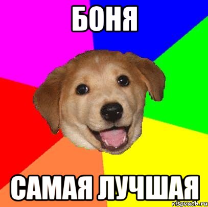 Боня Самая лучшая, Мем Advice Dog