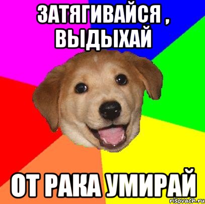 Затягивайся , выдыхай От рака умирай, Мем Advice Dog