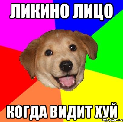 ликино лицо когда видит хуй, Мем Advice Dog