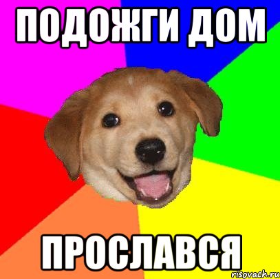 подожги дом прослався, Мем Advice Dog