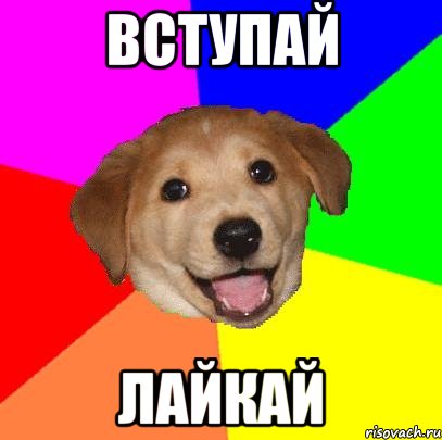 Вступай Лайкай, Мем Advice Dog