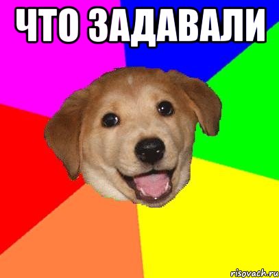 Что задавали , Мем Advice Dog