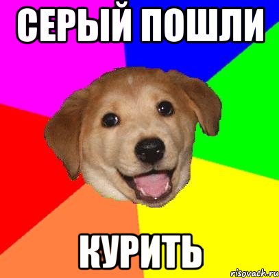 Серый пошли Курить, Мем Advice Dog