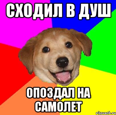 Сходил в душ Опоздал на самолет, Мем Advice Dog