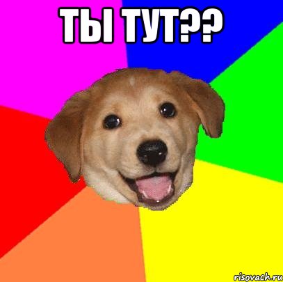 Ты тут?? , Мем Advice Dog