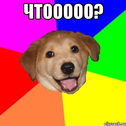 Чтооооо? , Мем Advice Dog