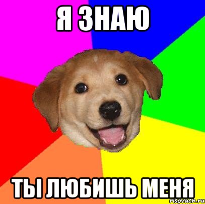 Я знаю ты любишь меня, Мем Advice Dog