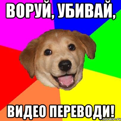 Воруй, убивай, видео переводи!, Мем Advice Dog