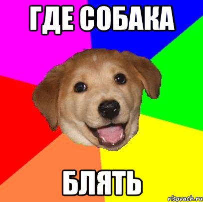 Где собака Блять, Мем Advice Dog