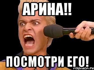 АРИНА!! ПОСМОТРИ ЕГО!, Мем Адвокат