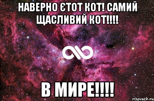 наверно єтот кот! самий щасливий кот!!!! в мире!!!!, Мем офигенно