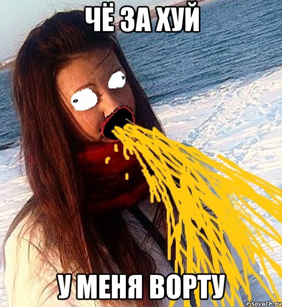 чё за хуй у меня ворту