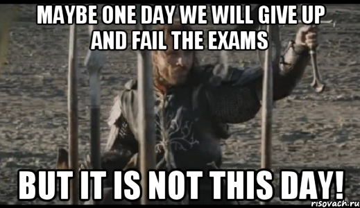 Maybe one day we will give up and fail the exams But it is not this day!, Мем  Арагорн (Но только не сегодня)