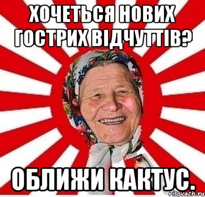 Хочеться нових гострих відчуттів? Оближи кактус., Мем  бабуля