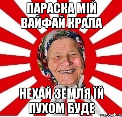 параска мій вайфай крала нехай земля їй пухом буде, Мем  бабуля