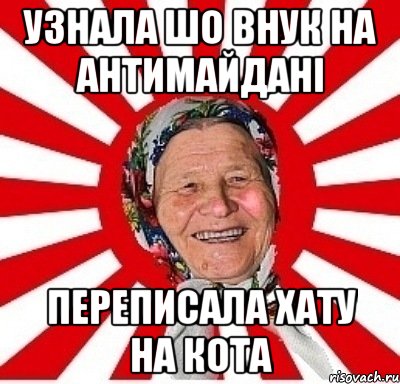 Узнала шо внук на антимайдані Переписала хату на кота, Мем  бабуля