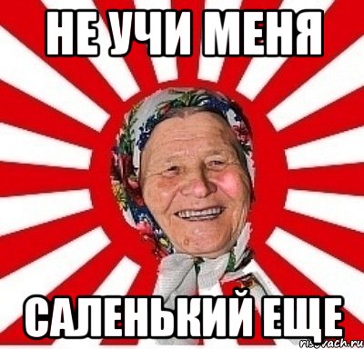 НЕ УЧИ МЕНЯ САЛЕНЬКИЙ ЕЩЕ, Мем  бабуля