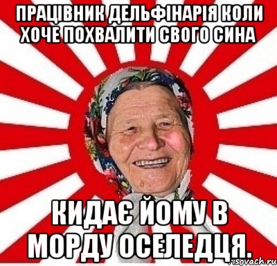 Працівник дельфінарія коли хоче похвалити свого сина кидає йому в морду оселедця., Мем  бабуля