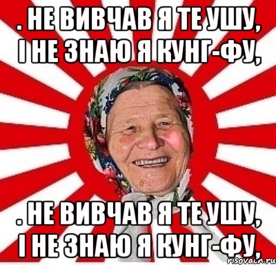 . не вивчав я те ушу, і не знаю я кунг-фу, . не вивчав я те ушу, і не знаю я кунг-фу,, Мем  бабуля